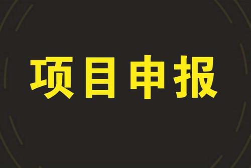 工业设计引领创新与转化应用扶持项目