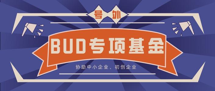 BUD东盟计划