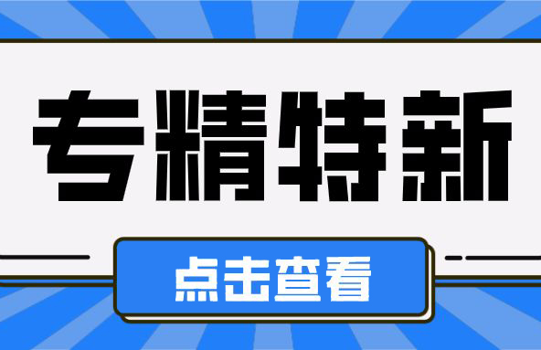 专精特新中小企业申报