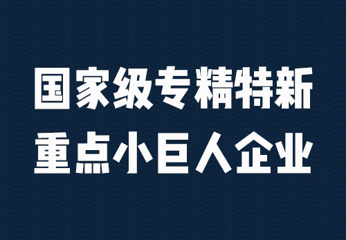 重点“小巨人”企业