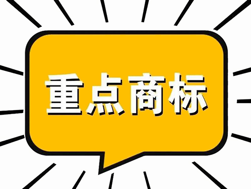 广东省重点商标保护名录