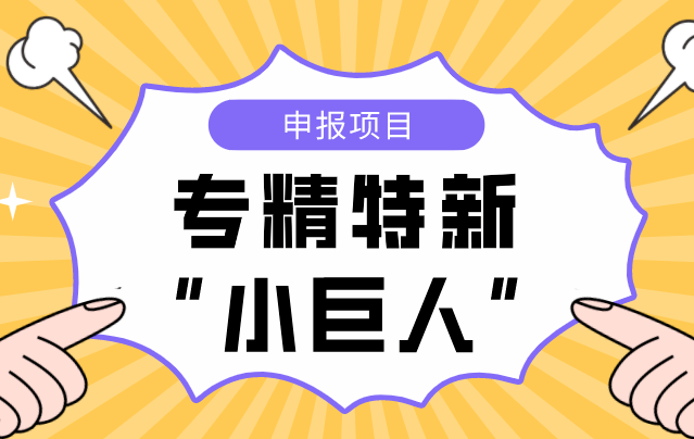 深圳国家级专精特新小巨人企业认定